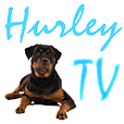 Hurley TV